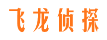 滴道市调查公司